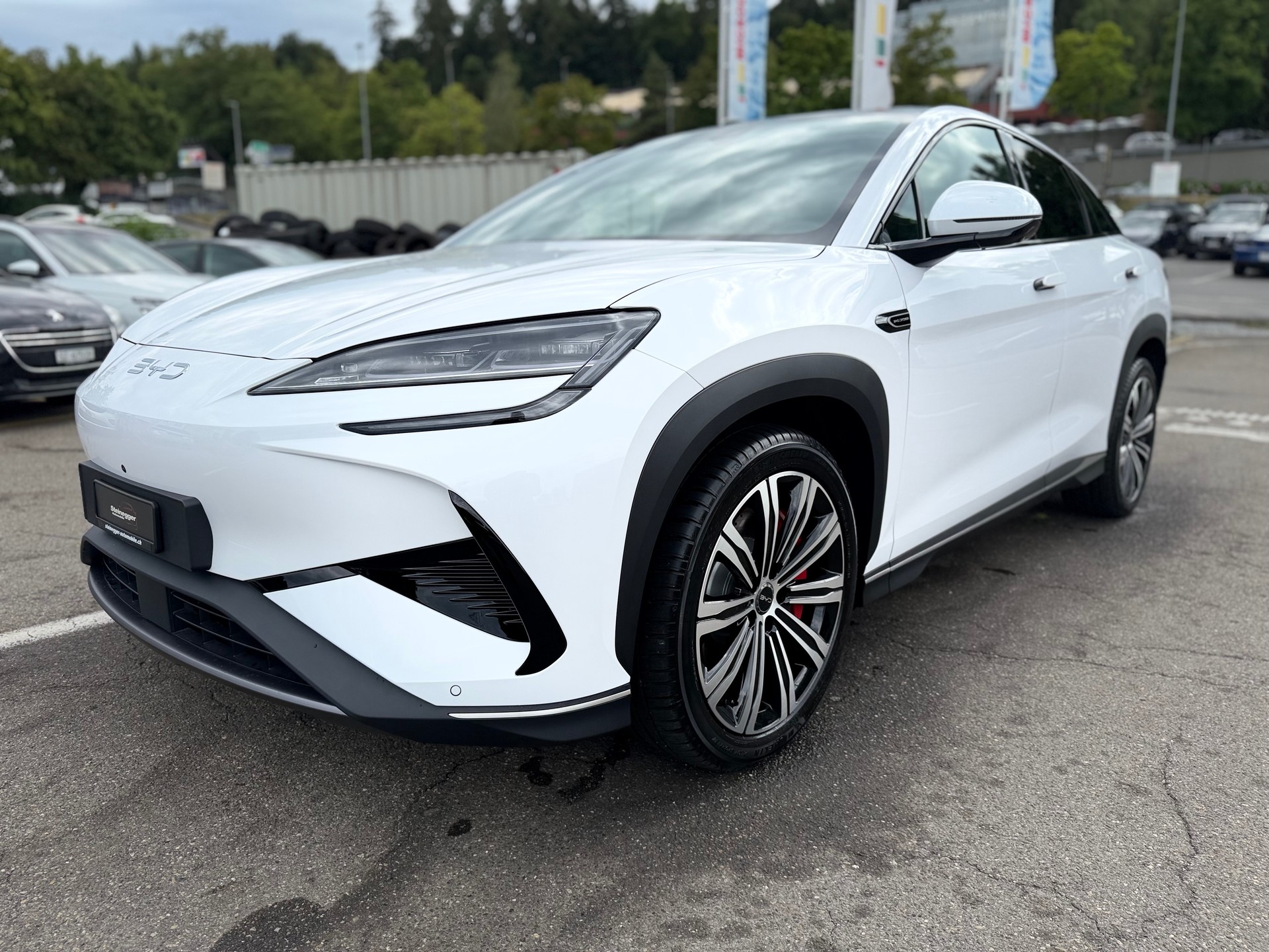 BYD Sealion 7 91,3 kWh Excellence AWD ° Vollausstattung °-image-5