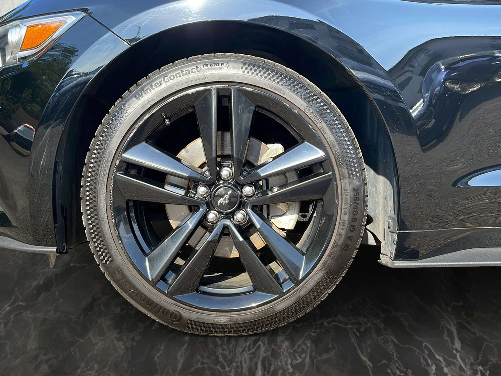 FORD MUSTANG-image-8