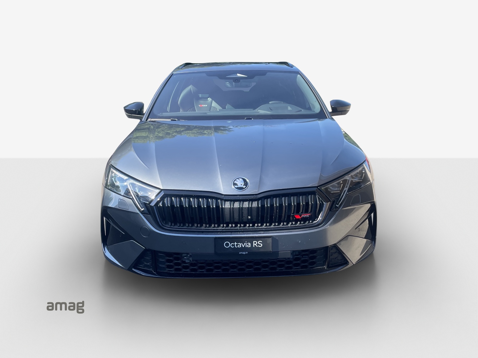SKODA Octavia Combi 2.0 TSI DSG RS 30 Years Edition-image-6