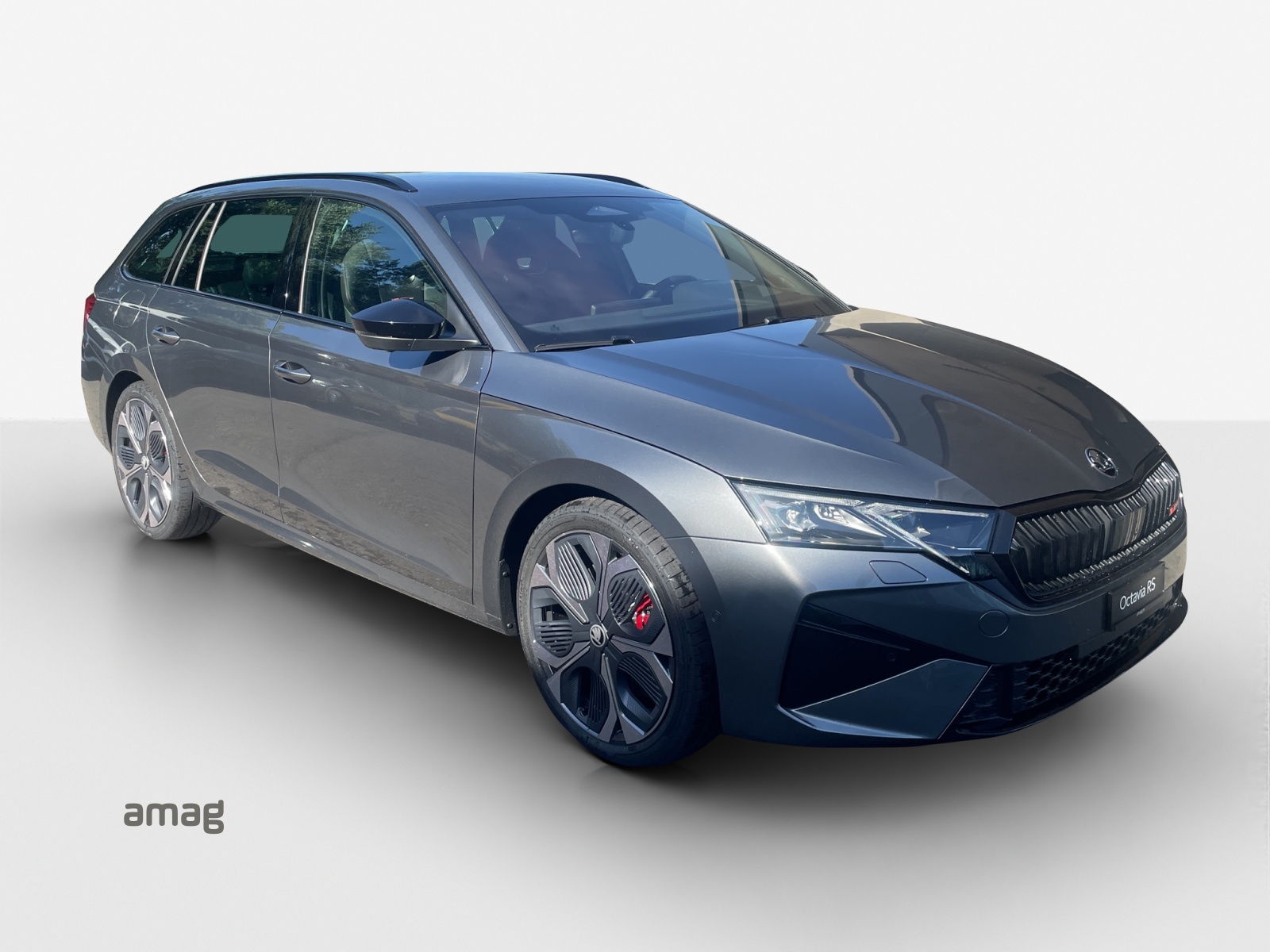 SKODA Octavia Combi 2.0 TSI DSG RS 30 Years Edition-image-5
