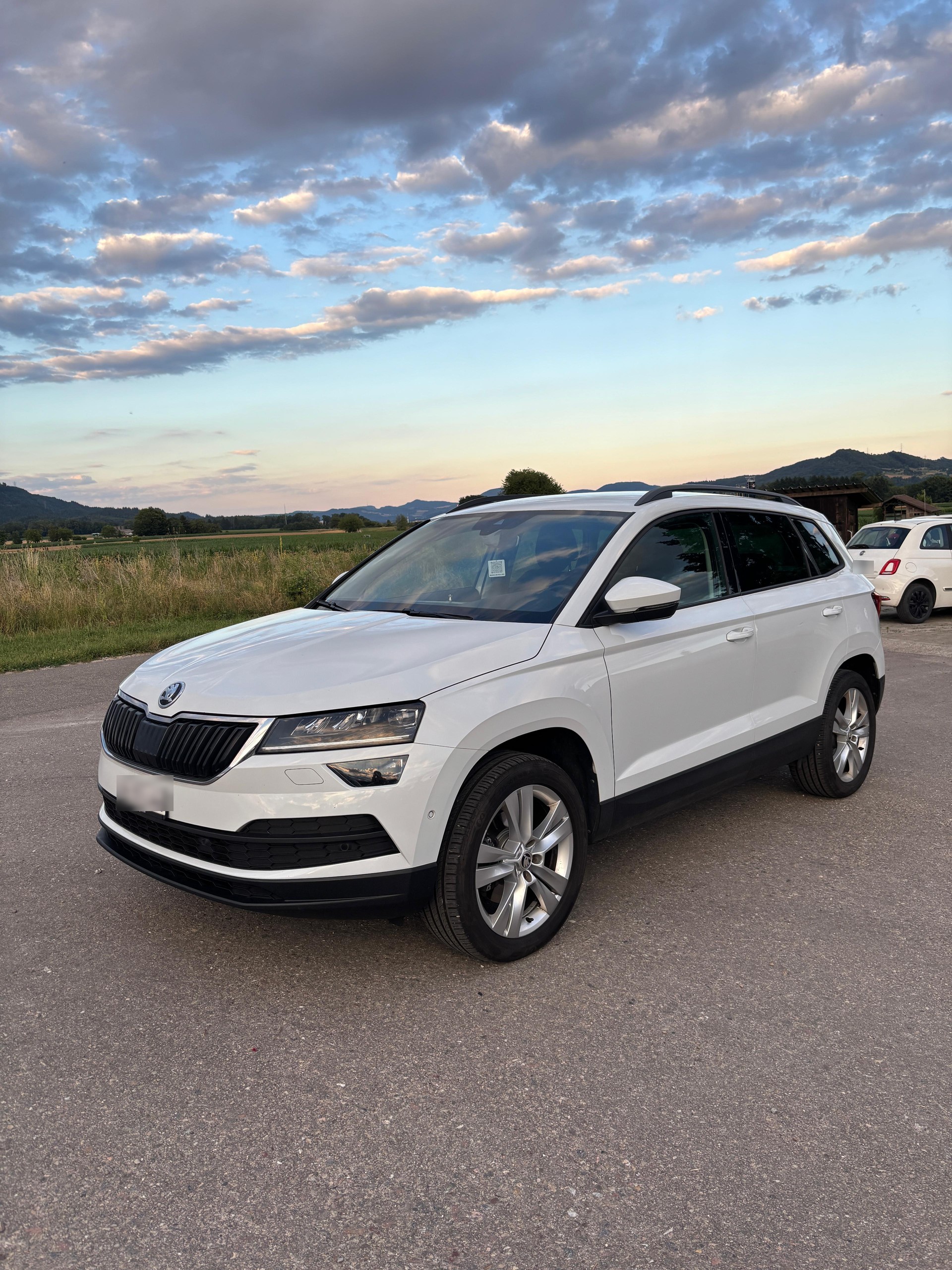 SKODA 2.0 TDI 190 4x4 DSG-image-4