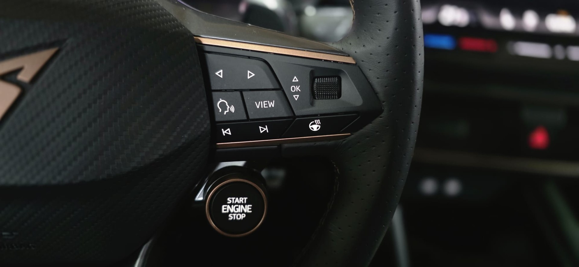 CUPRA LEON 2.0 TSI VZ DSG VZ *ACC*Sennheiser*Ledersitze*Panoramadach*Ambientebeleuchtung*Lenkradheizung*Rückfahrkamera*-image-12