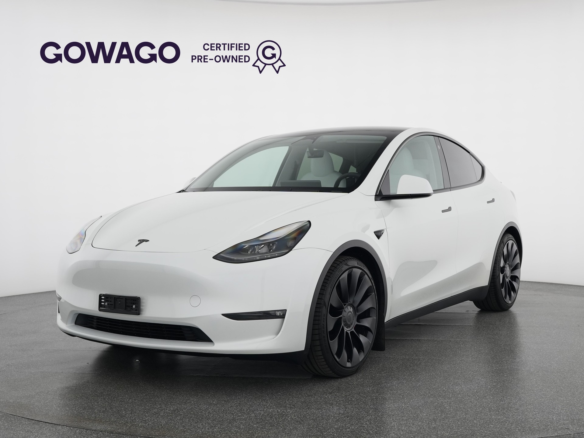 TESLA Model Y Long Range All-Wheel Drive Performance-image-0