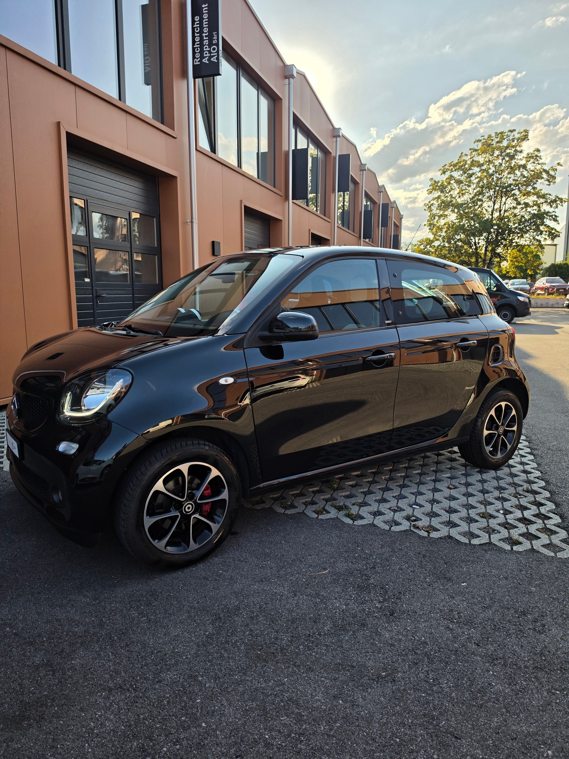SMART forfour passion twinmatic-image-6