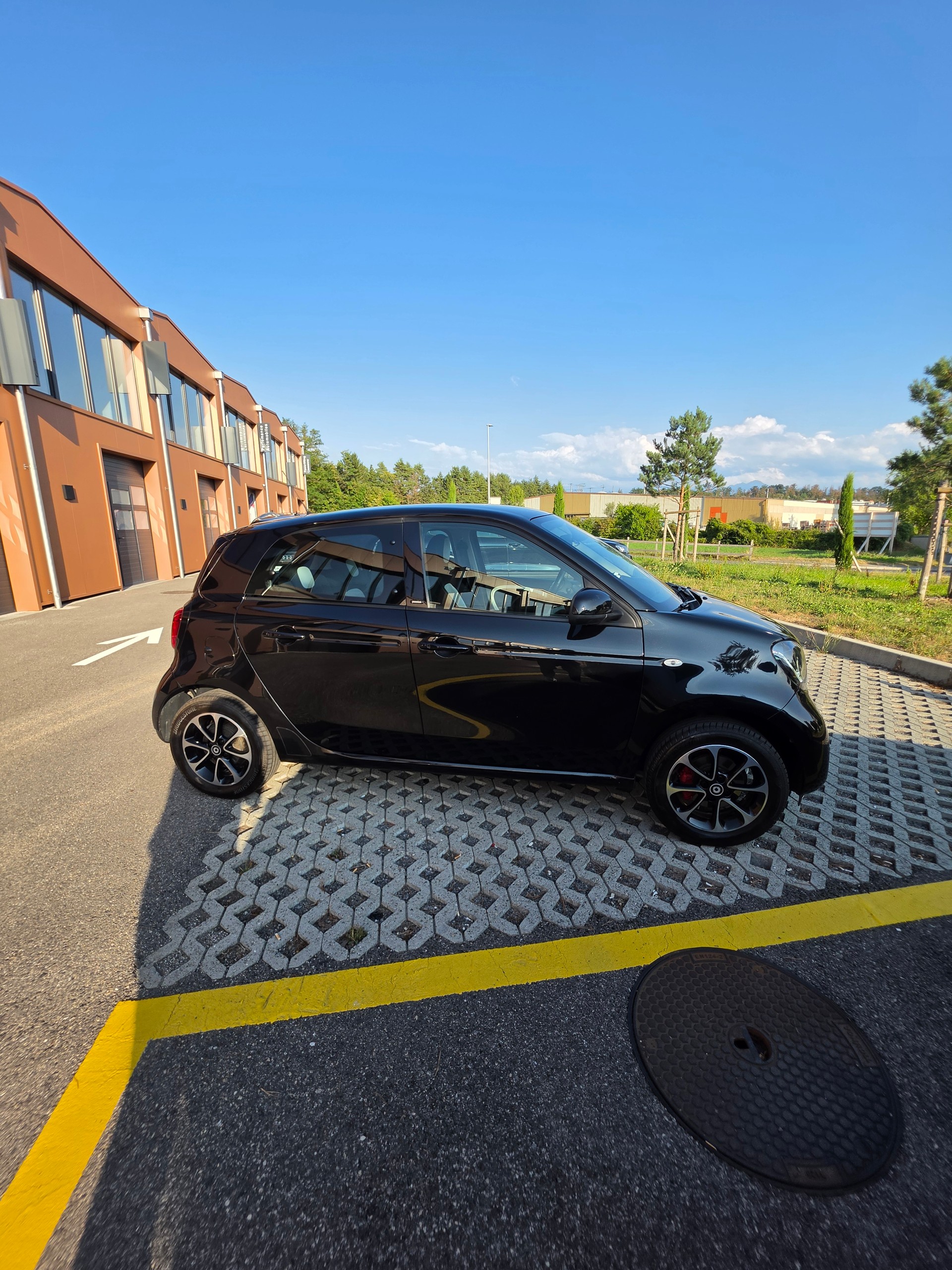 SMART forfour passion twinmatic-image-2