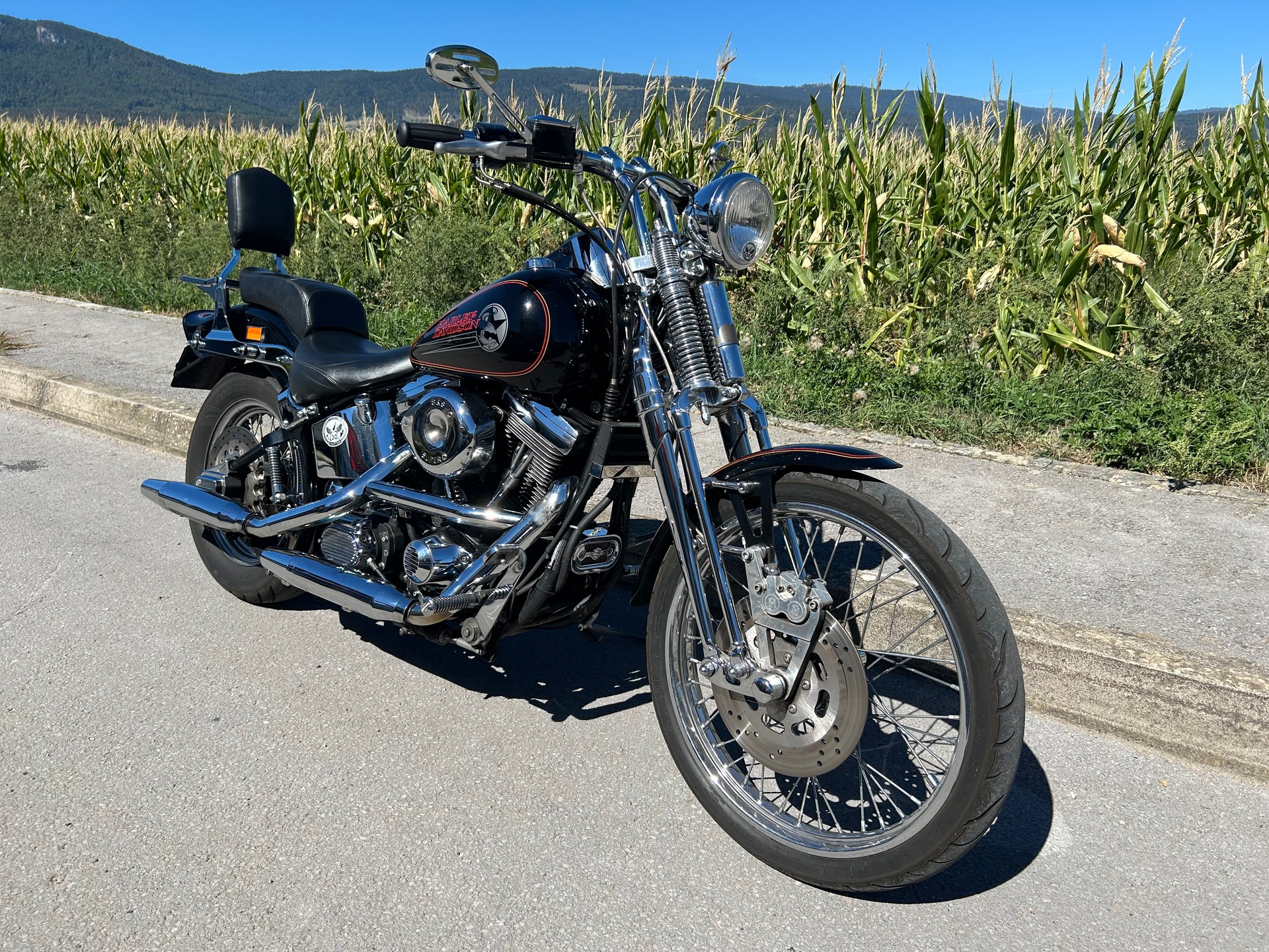 HARLEY-DAVIDSON FXSTS Springer Softail