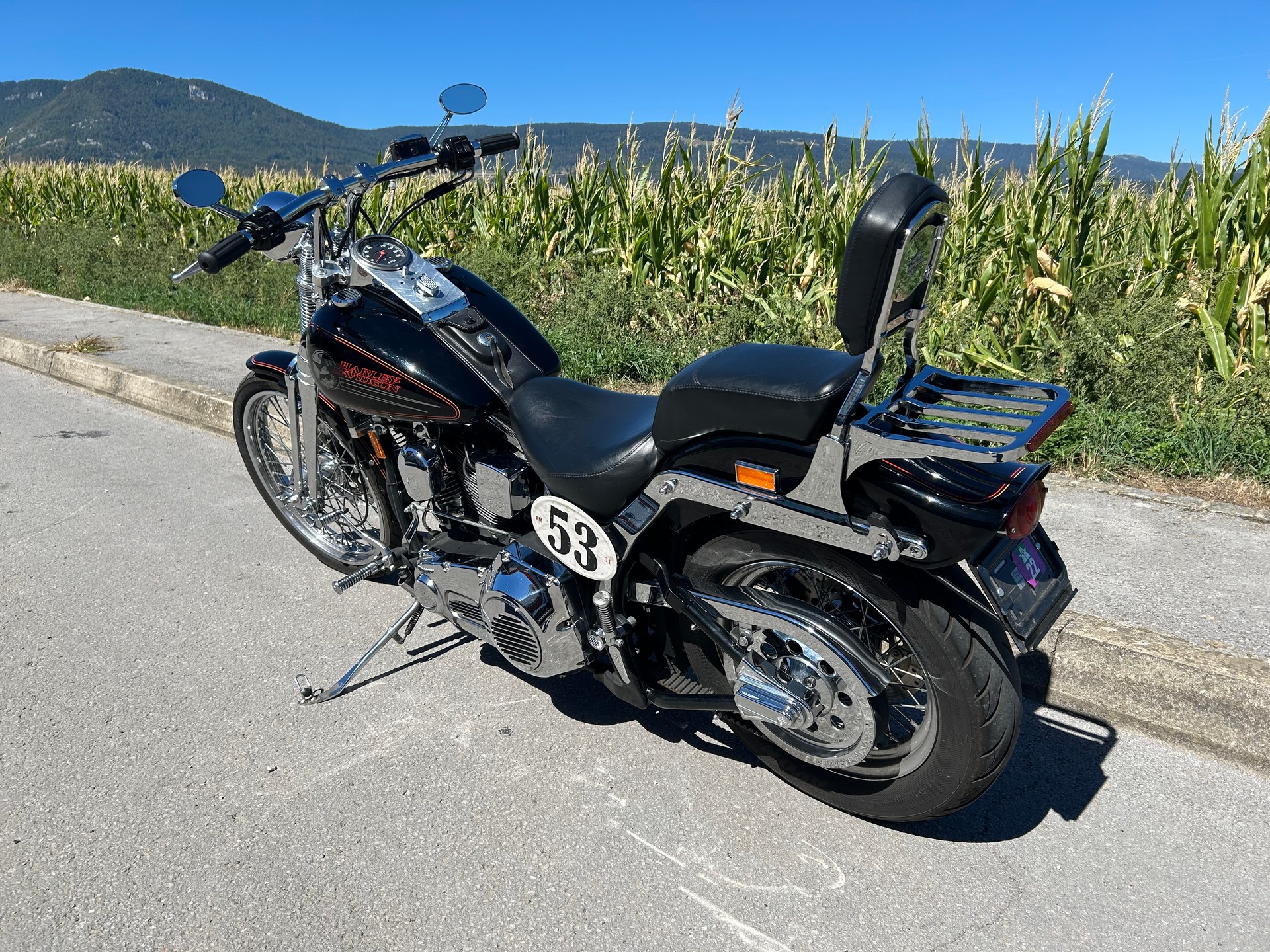 HARLEY-DAVIDSON FXSTS Springer Softail-image-3
