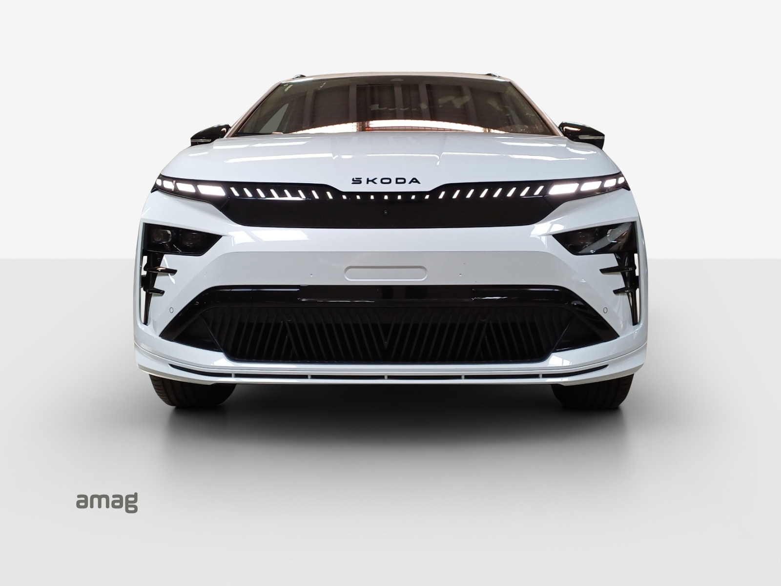 SKODA Enyaq 4x4 RS-image-6