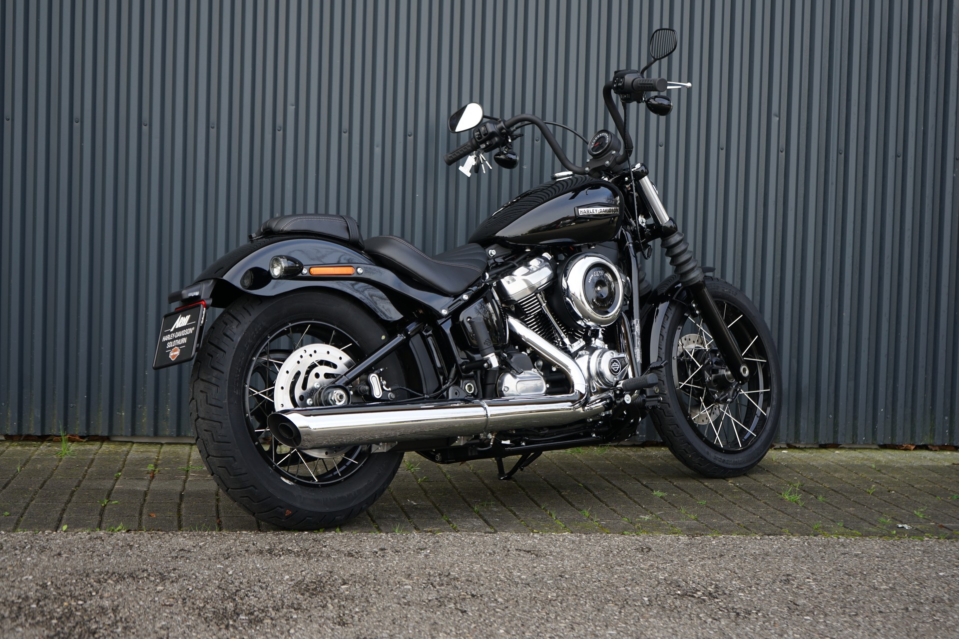 HARLEY-DAVIDSON FXBB Street Bob 117-image-4