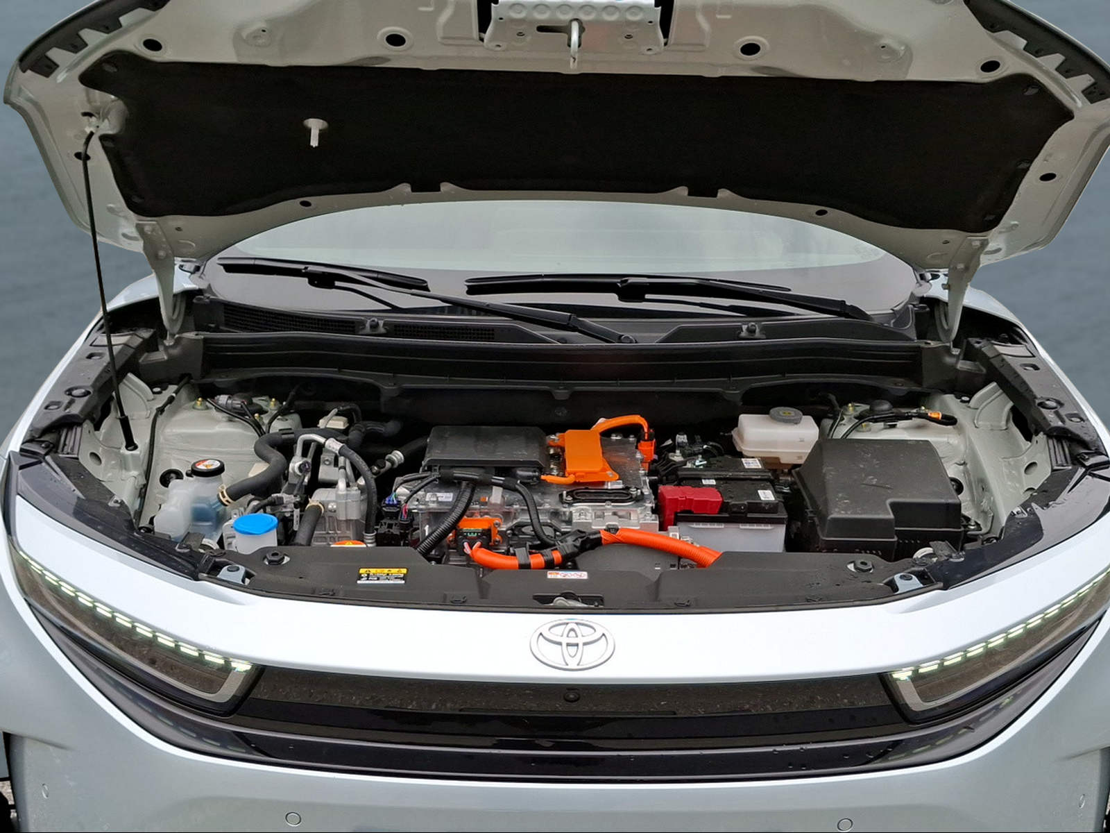 TOYOTA Urban Cruiser 61 kWh Premium AWD-image-13