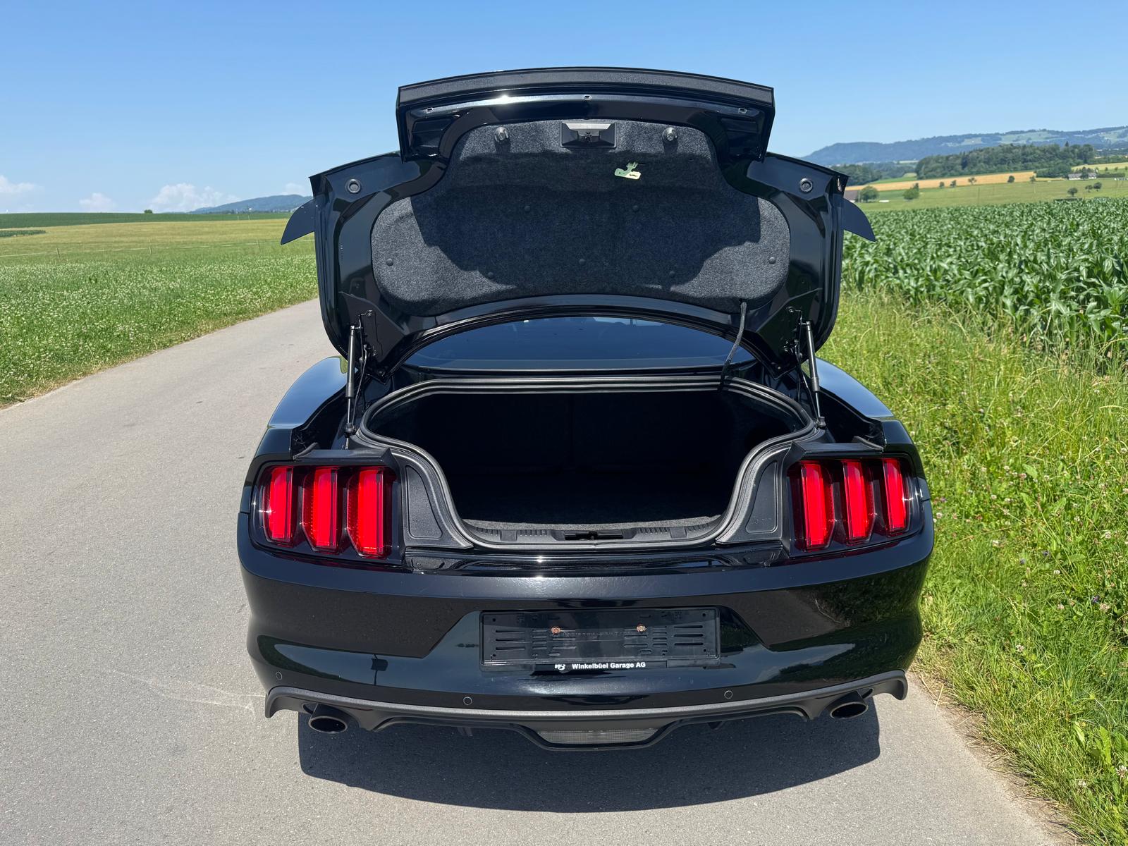 FORD Mustang Fastback 5.0 V8 GT Automat-image-5