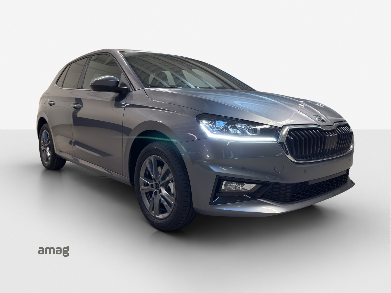 SKODA Fabia 1.0 TSI Dynamic DSG-image-5