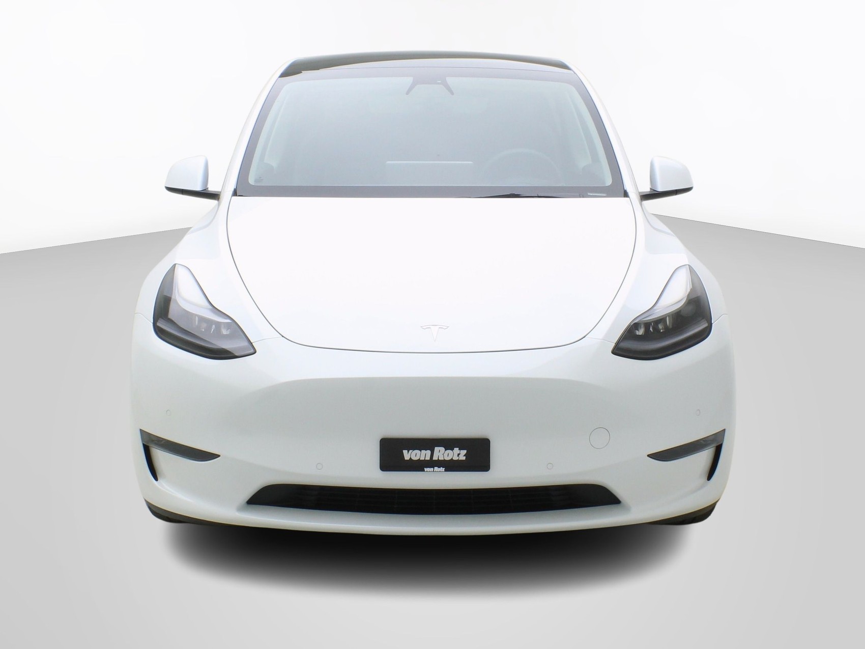 TESLA Model Y Long Range Dual AWD-image-6