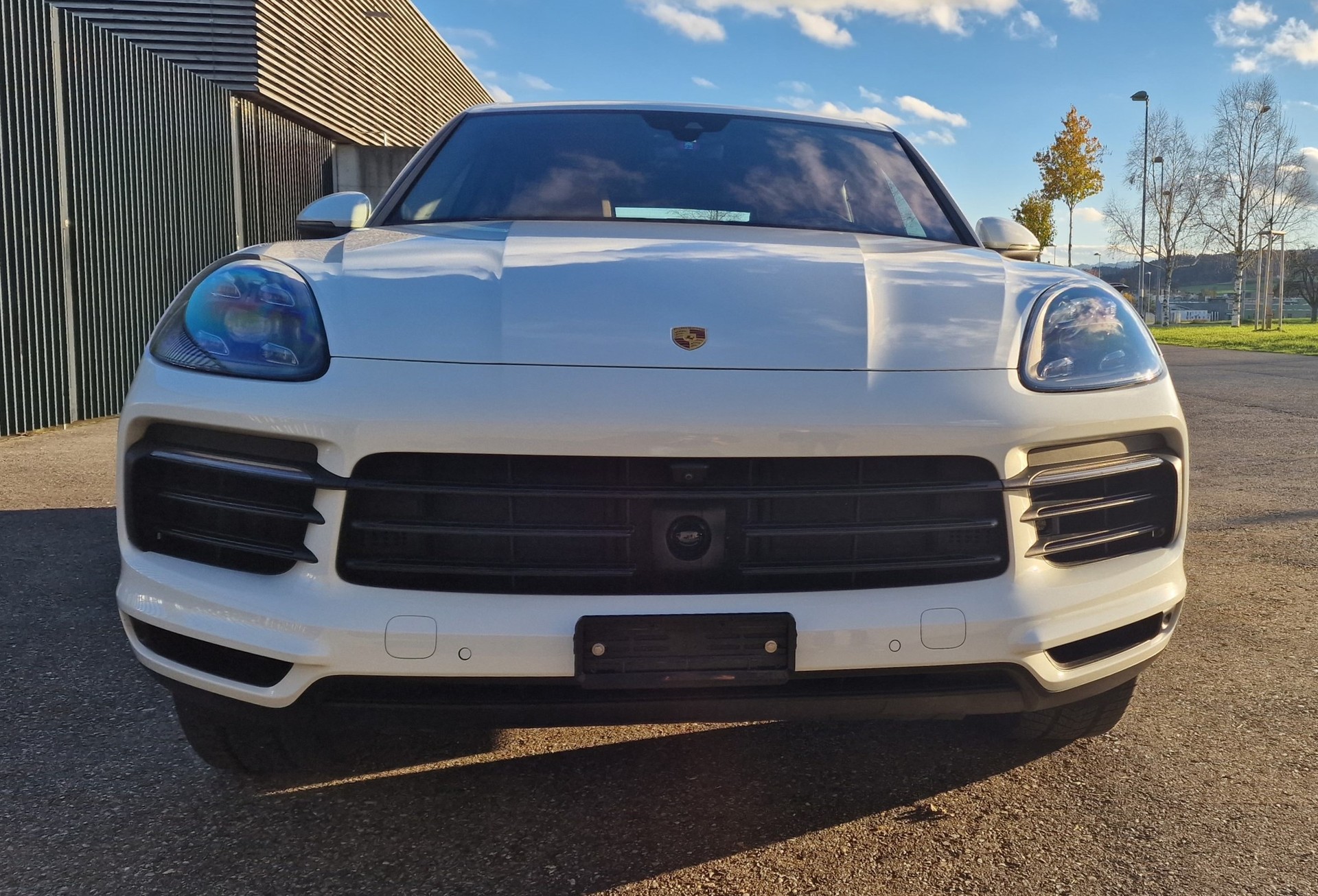 PORSCHE Cayenne S-image-6