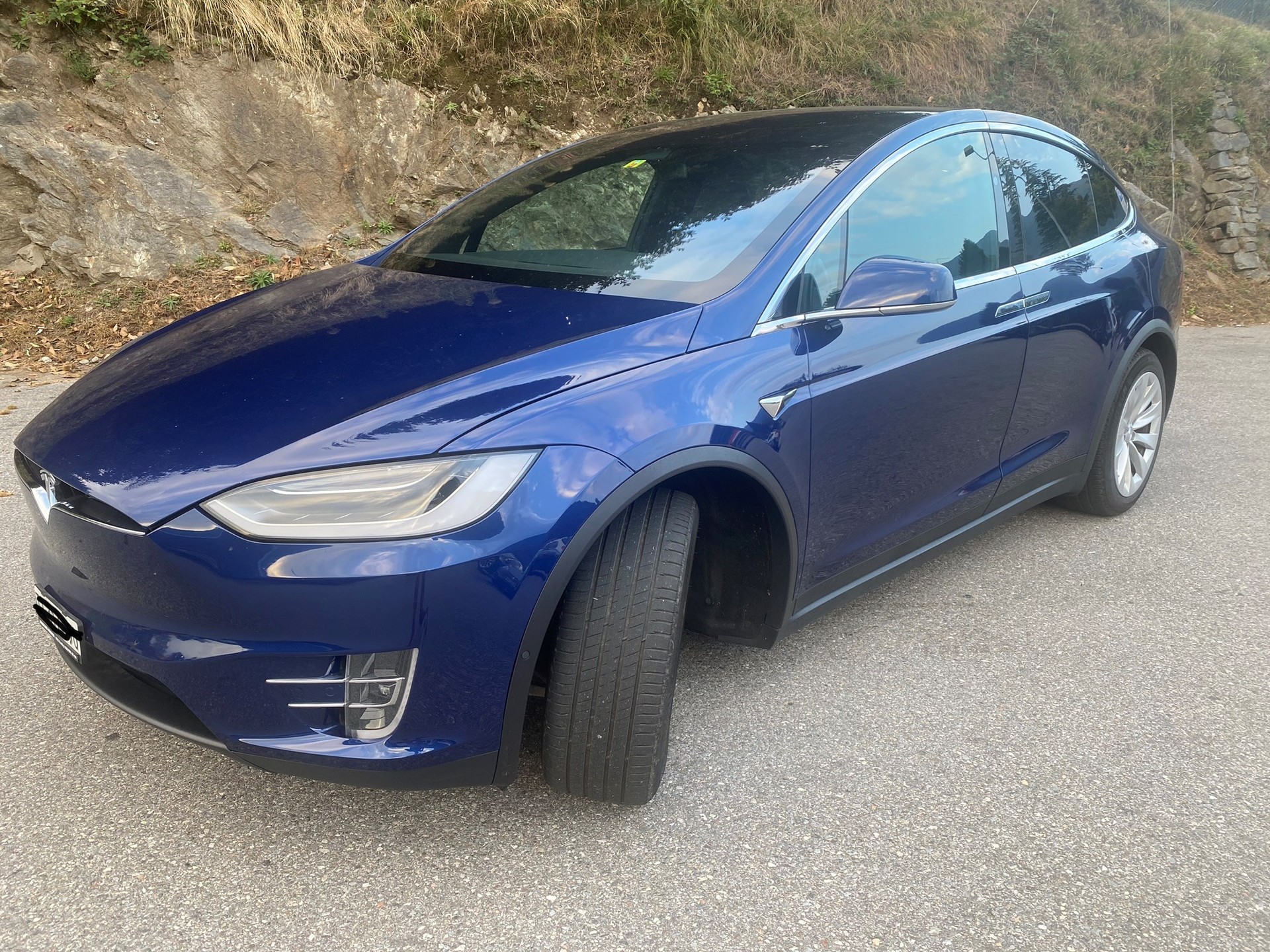 TESLA Model X 100 D-image-1