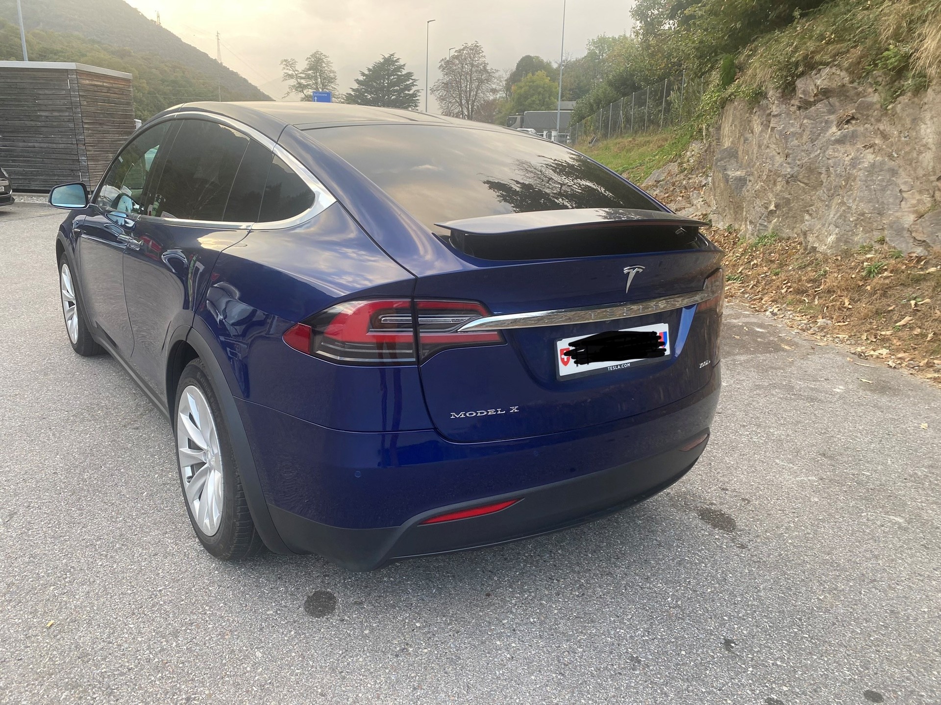 TESLA Model X 100 D-image-2
