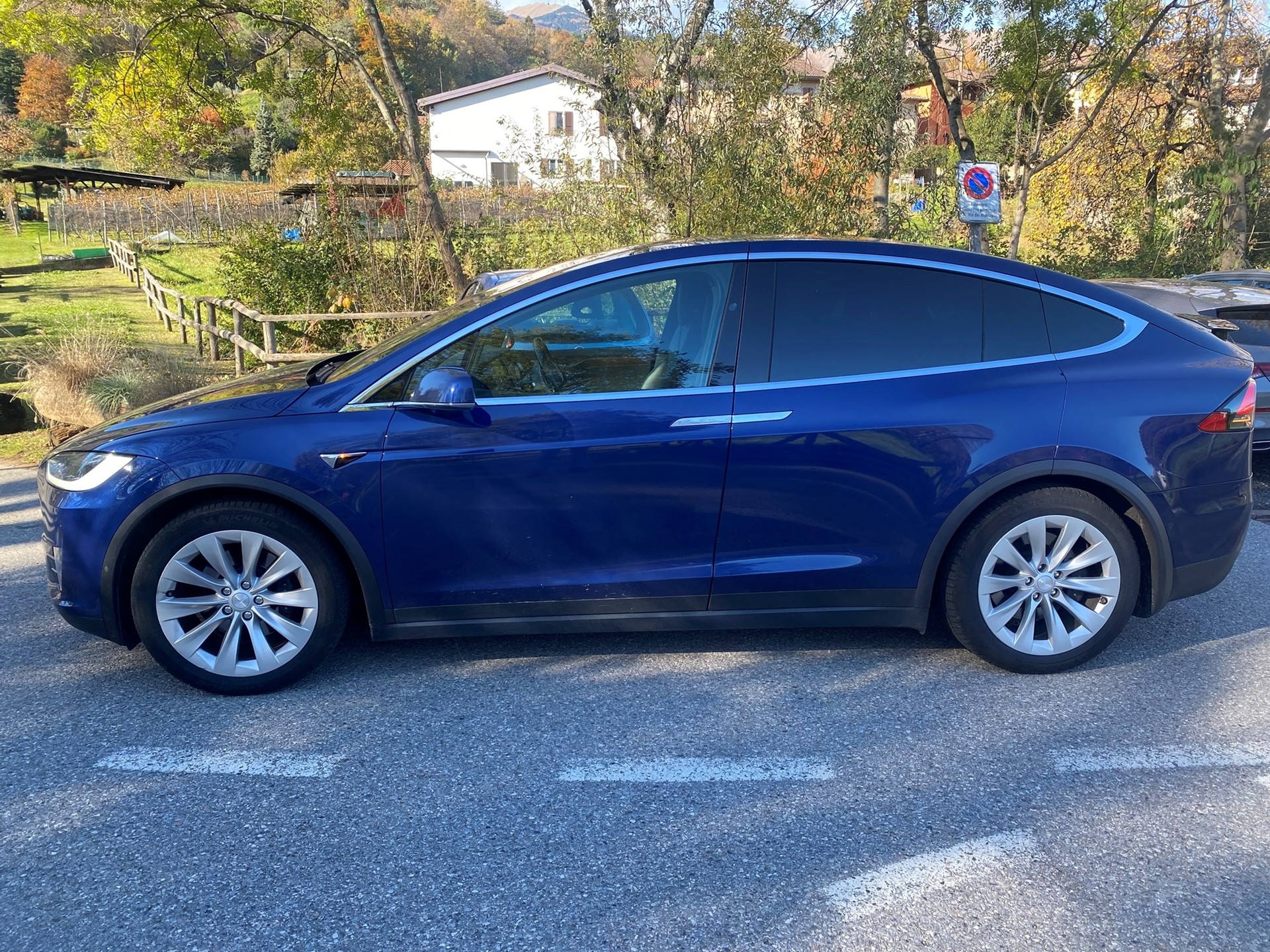 TESLA Model X 100 D-image-4
