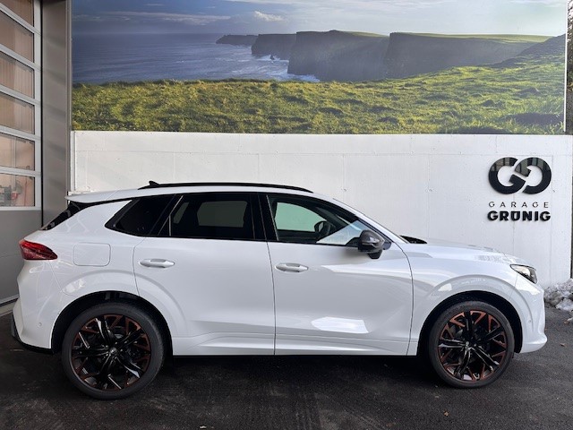 CUPRA Terramar 2.0 TSI DSG 4Drive VZ-image-2