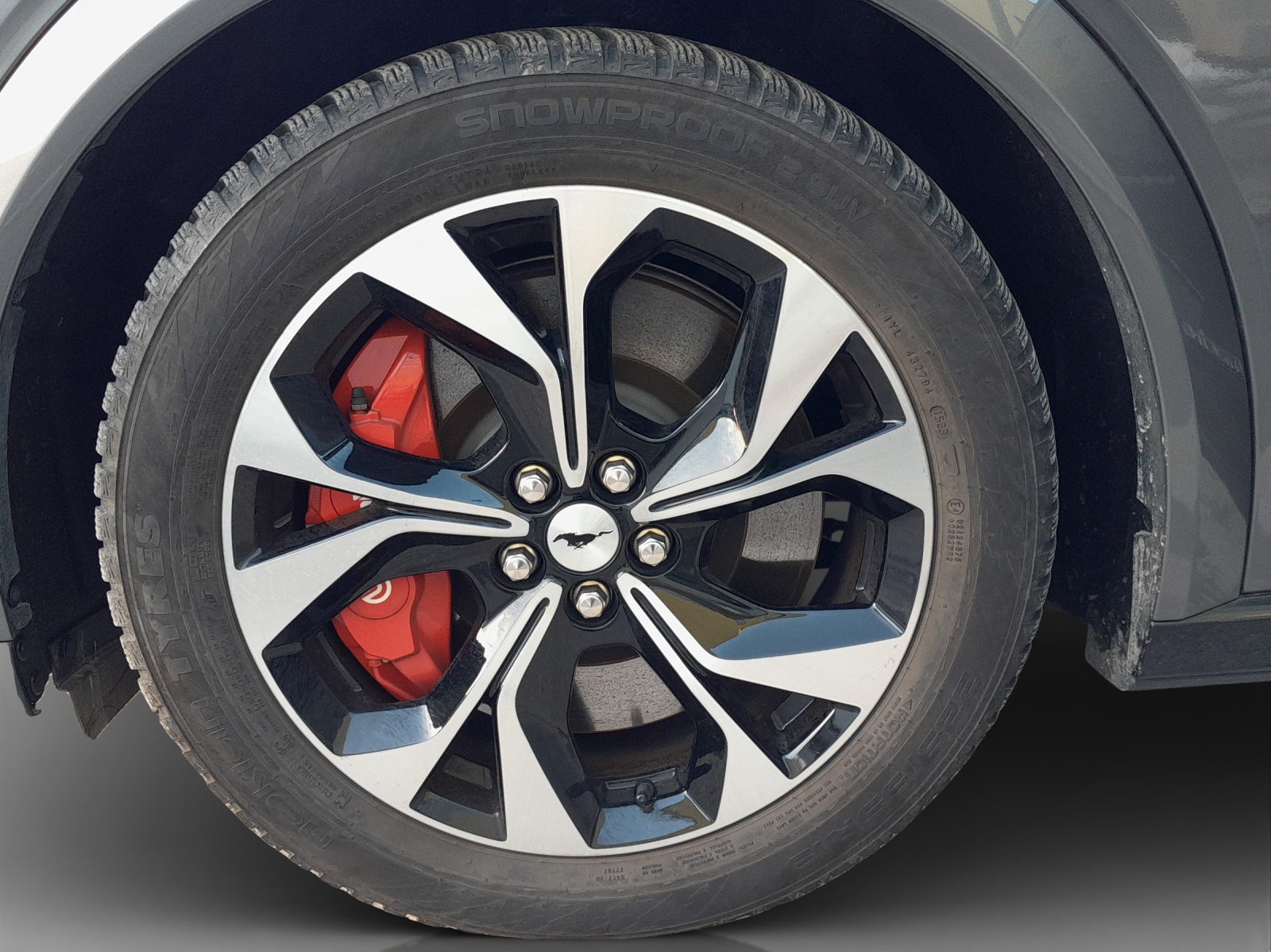 FORD Mustang MACH-E GT AWD 91 kWh-image-11