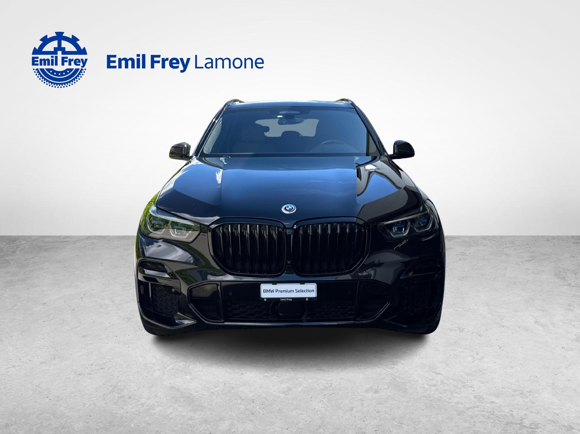 BMW X5 45e xDrive-image-9