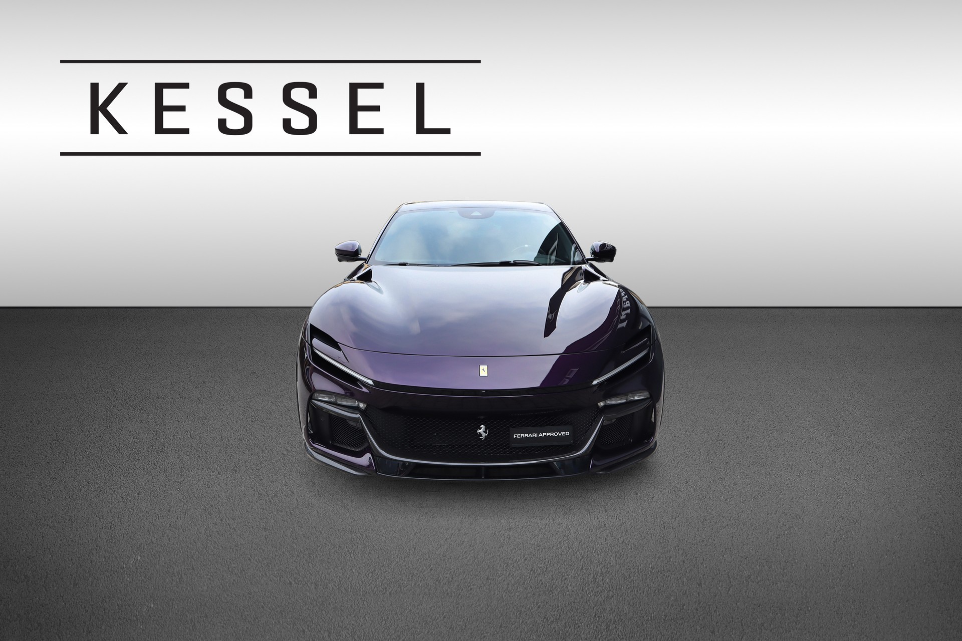 FERRARI Purosangue 6.5 V12-showroom-element-1
