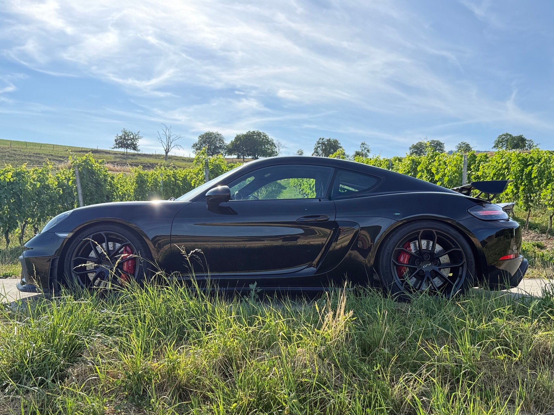 PORSCHE 718 Cayman GT4-image-4