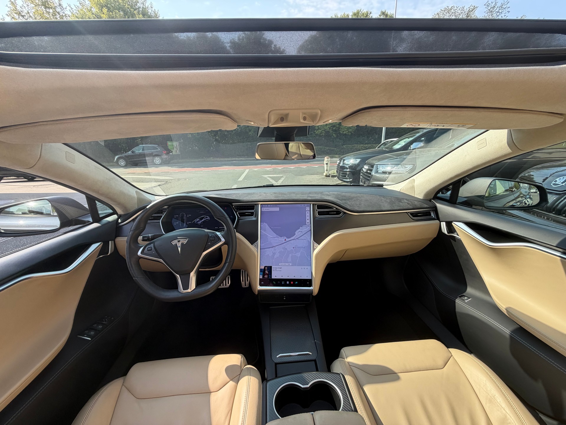 TESLA Model S 100 D Performance-image-13