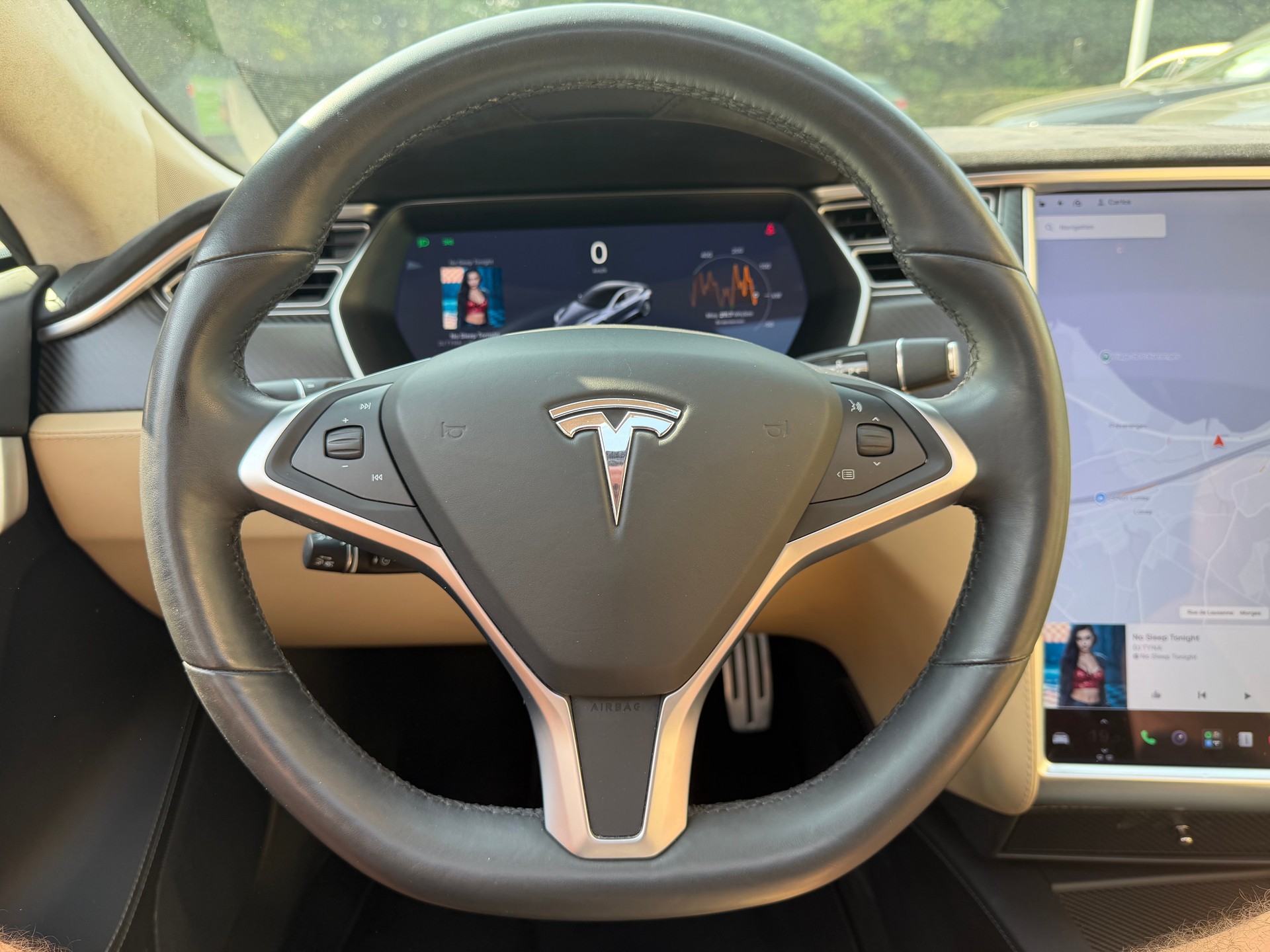 TESLA Model S 100 D Performance-image-12