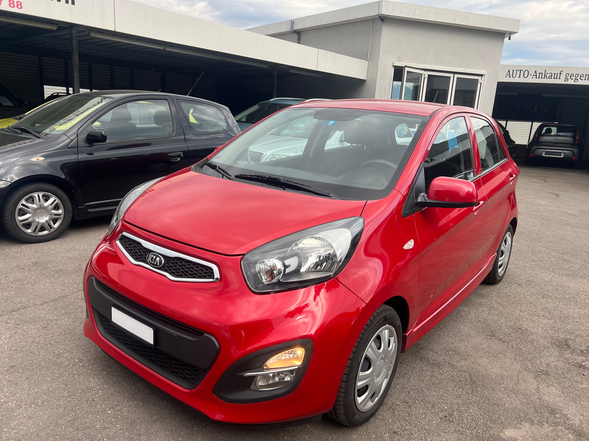 KIA Picanto 1.2 CVVT Trend-image-0