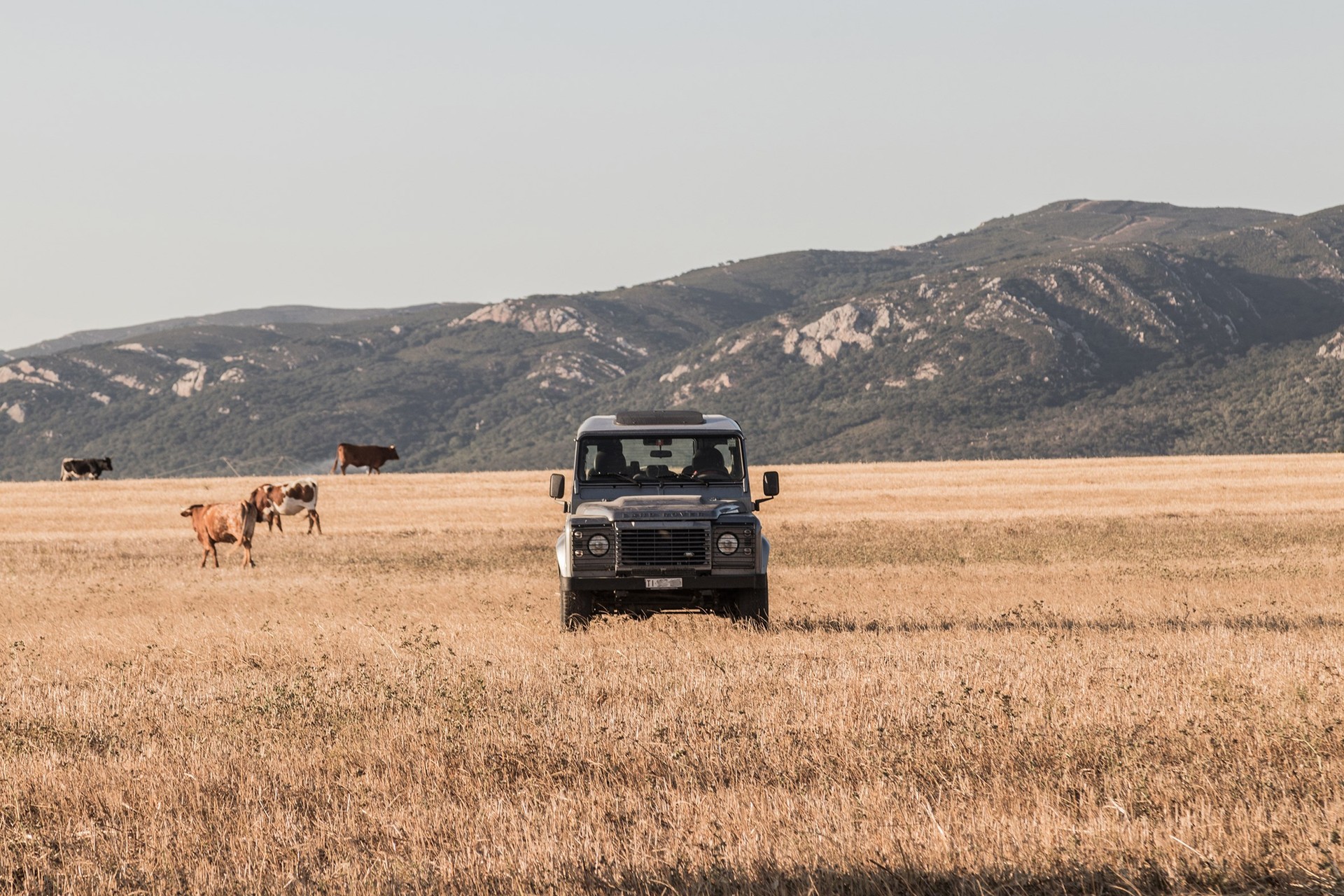 LAND ROVER Defender 110 2.2 TD4 Station Wagon-image-2