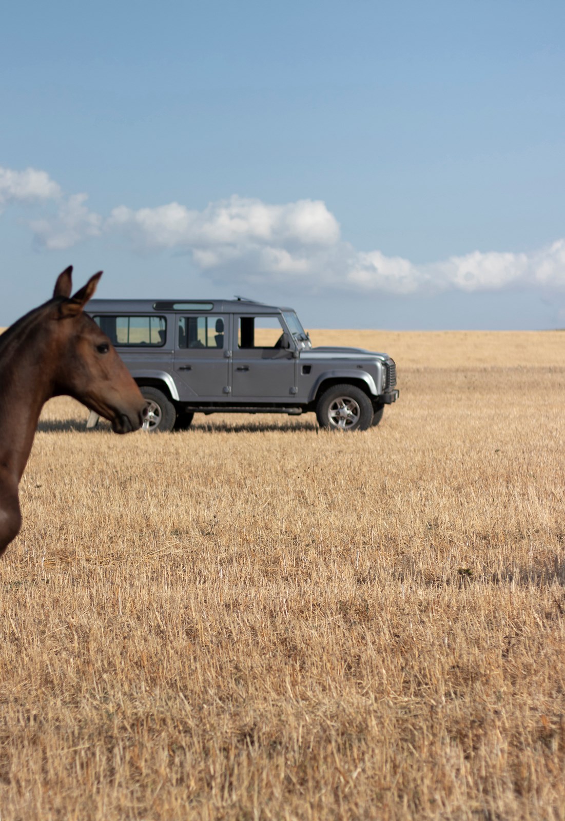 LAND ROVER Defender 110 2.2 TD4 Station Wagon-image-6