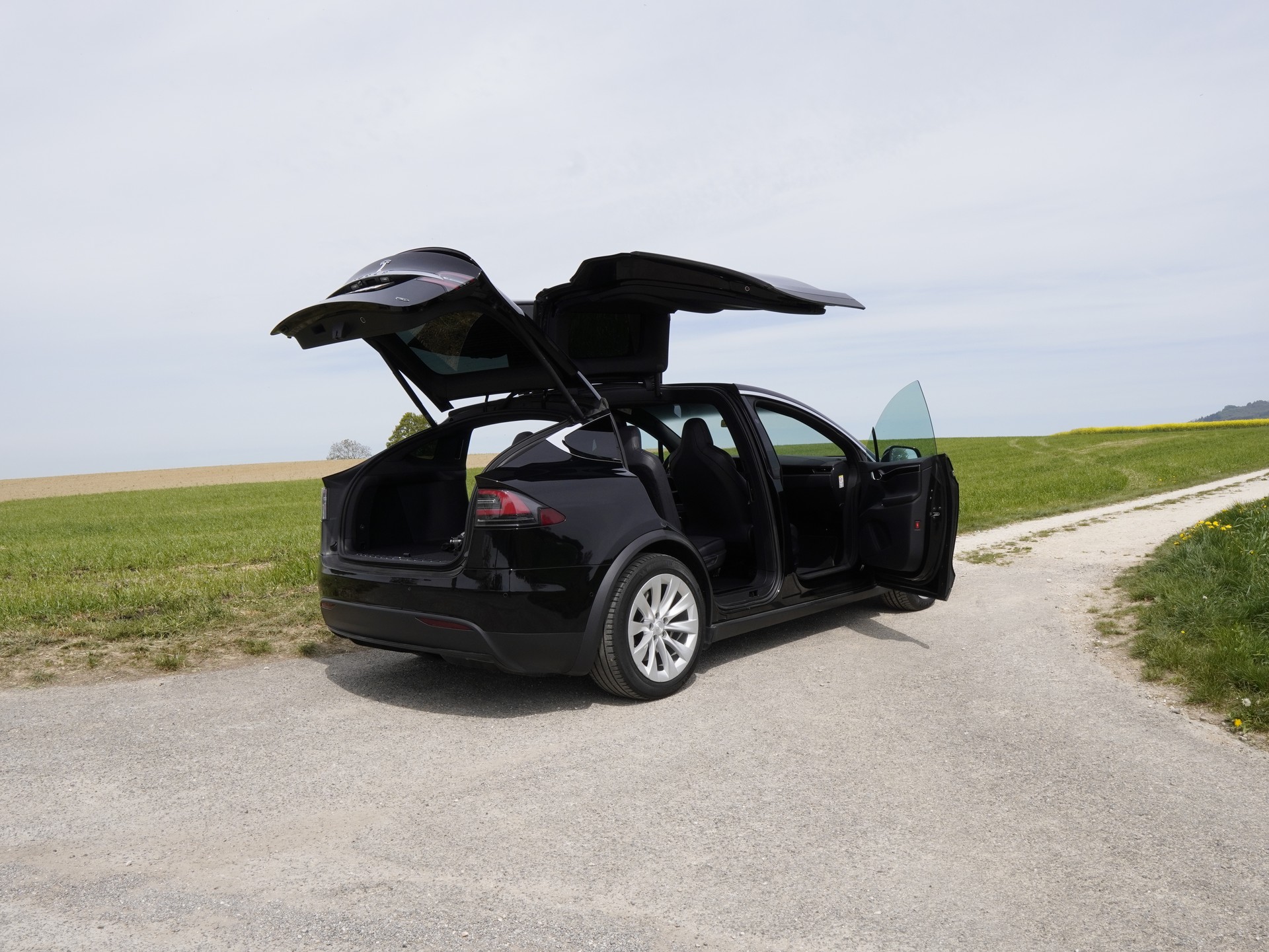 TESLA 75 D-image-0