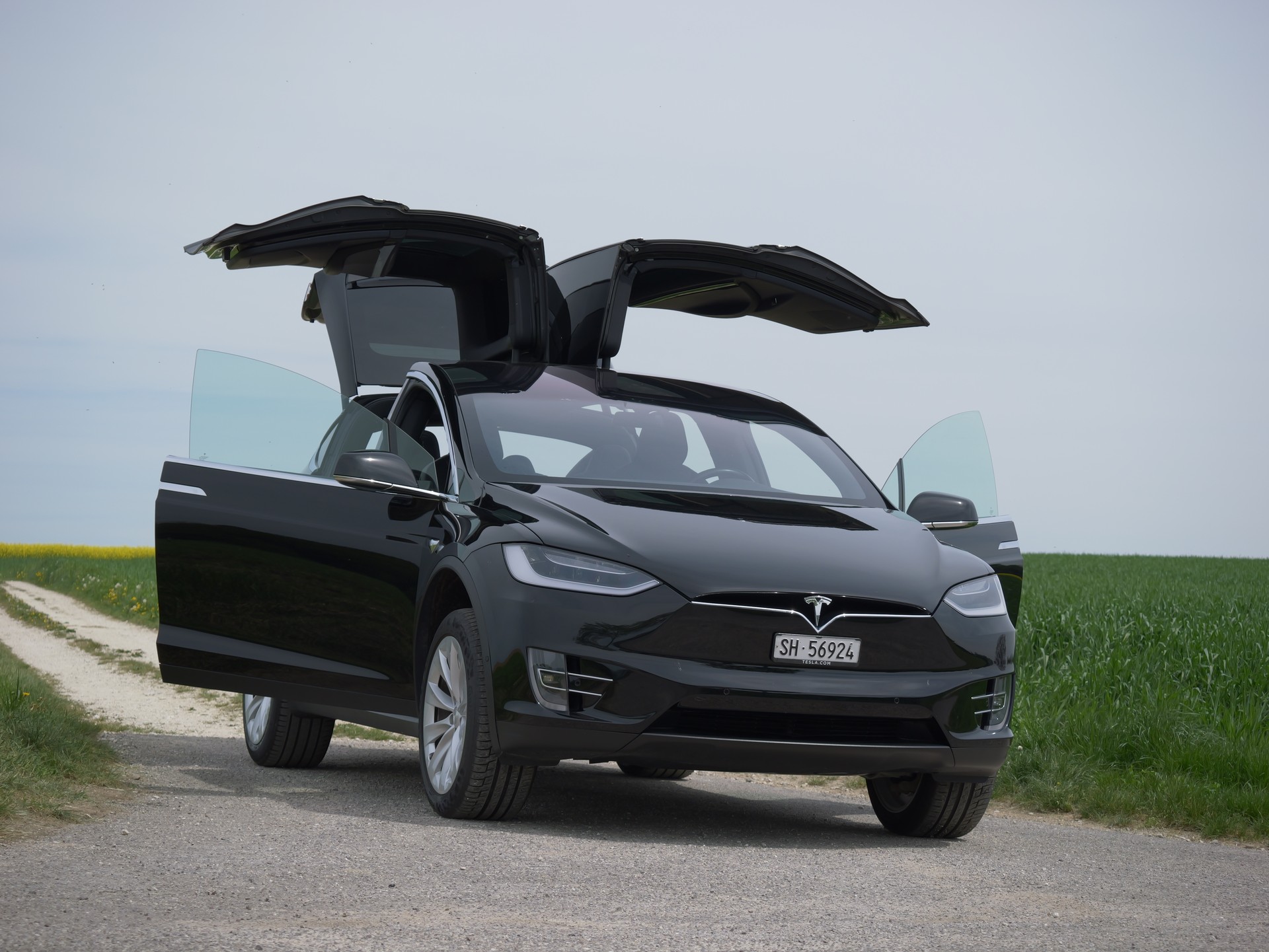 TESLA 75 D-image-4