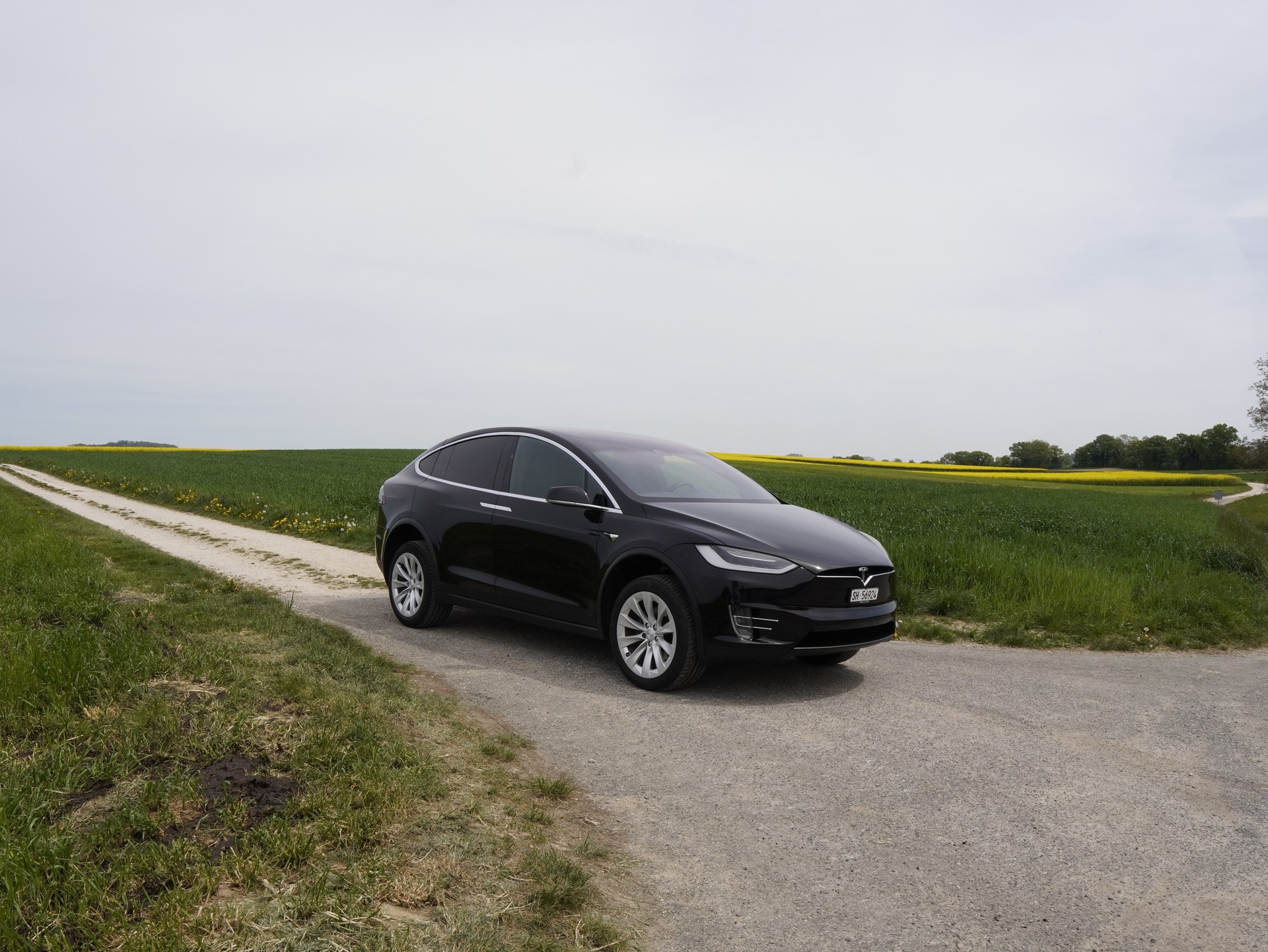TESLA 75 D-image-7