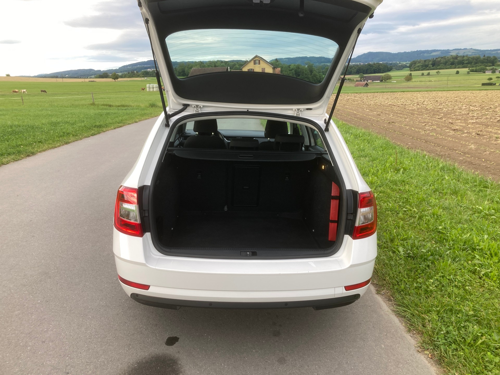 SKODA Octavia Combi 1.6 TDI Ambition DSG-image-5