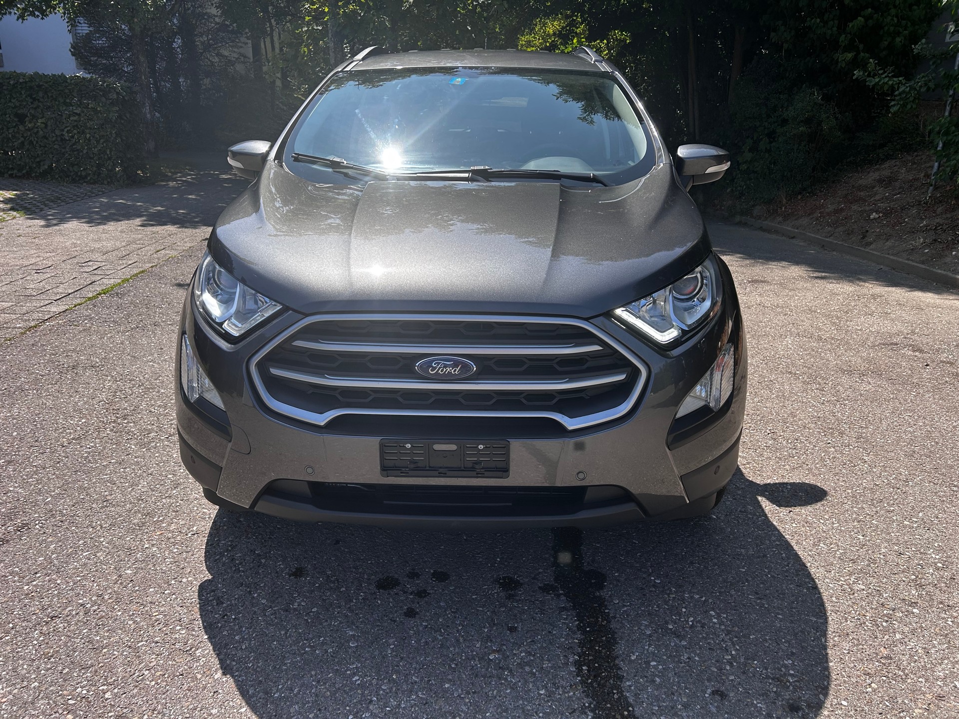 FORD EcoSport 1.0 SCTi Business-image-0