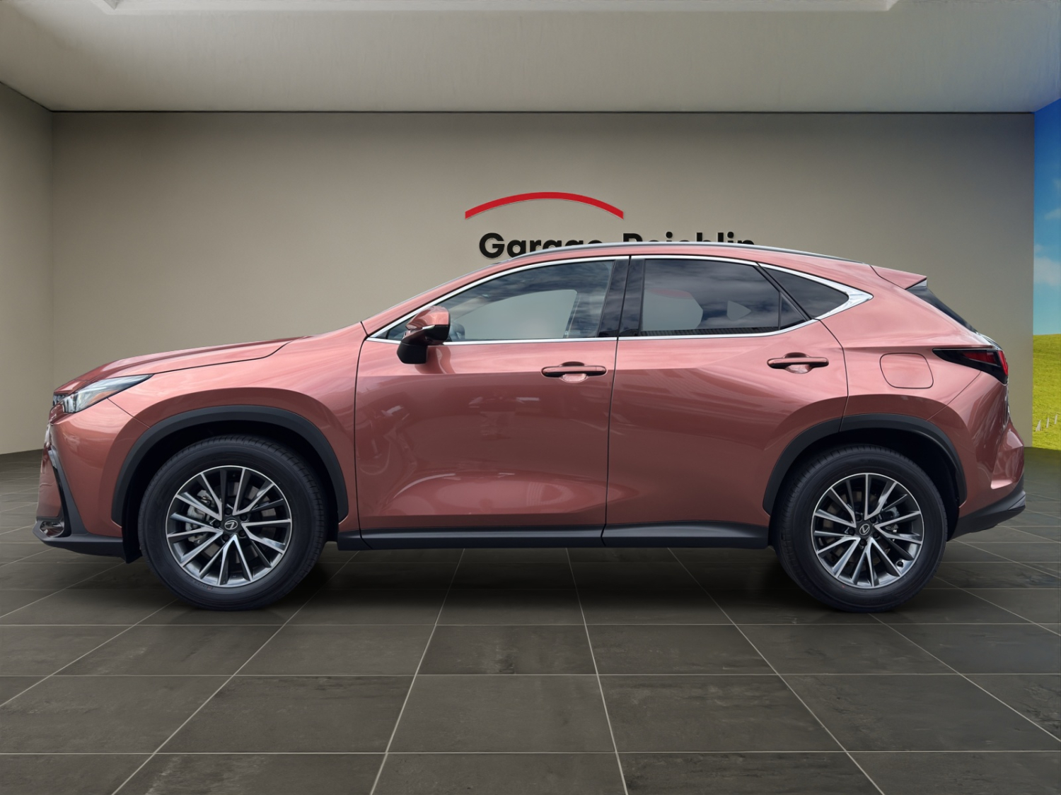 LEXUS NX 450h+ Comfort-image-5