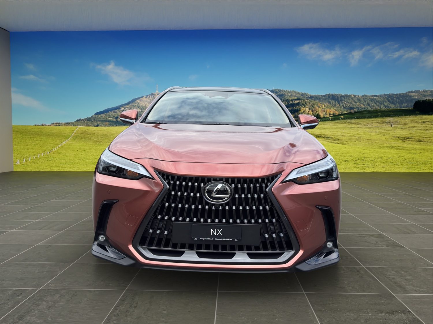 LEXUS NX 450h+ Comfort-image-6