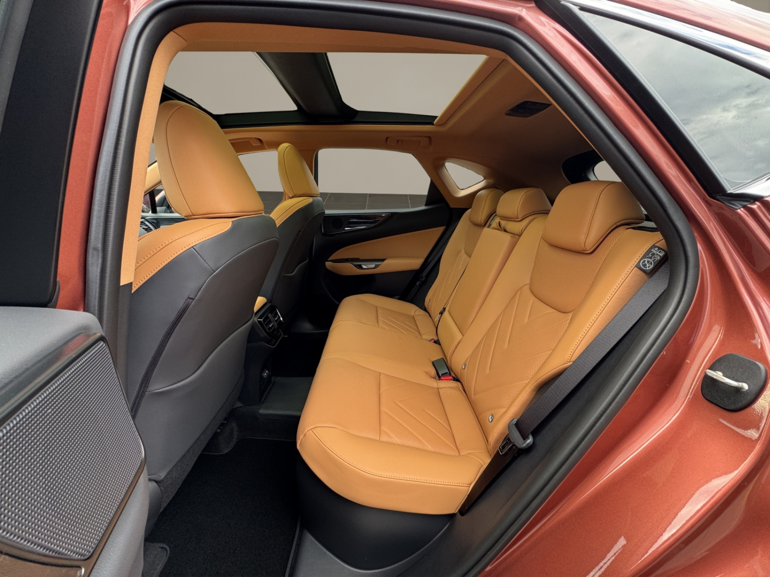 LEXUS NX 450h+ Comfort-image-13