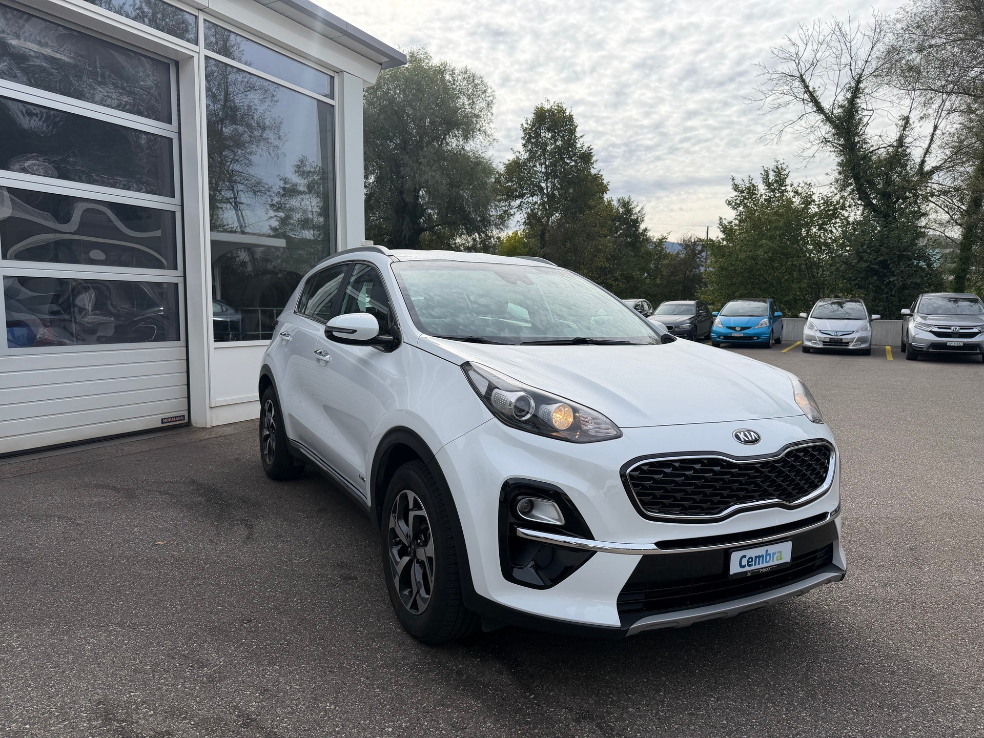 KIA Sportage 1.6 T-GDi Trend 4WD Automat-image-2