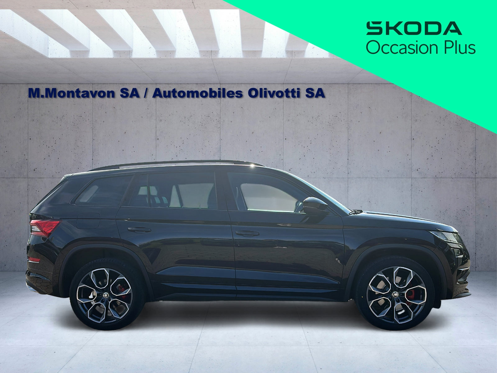 SKODA Kodiaq 2.0 Bi-TDI SCR RS 4x4 DSG-image-2