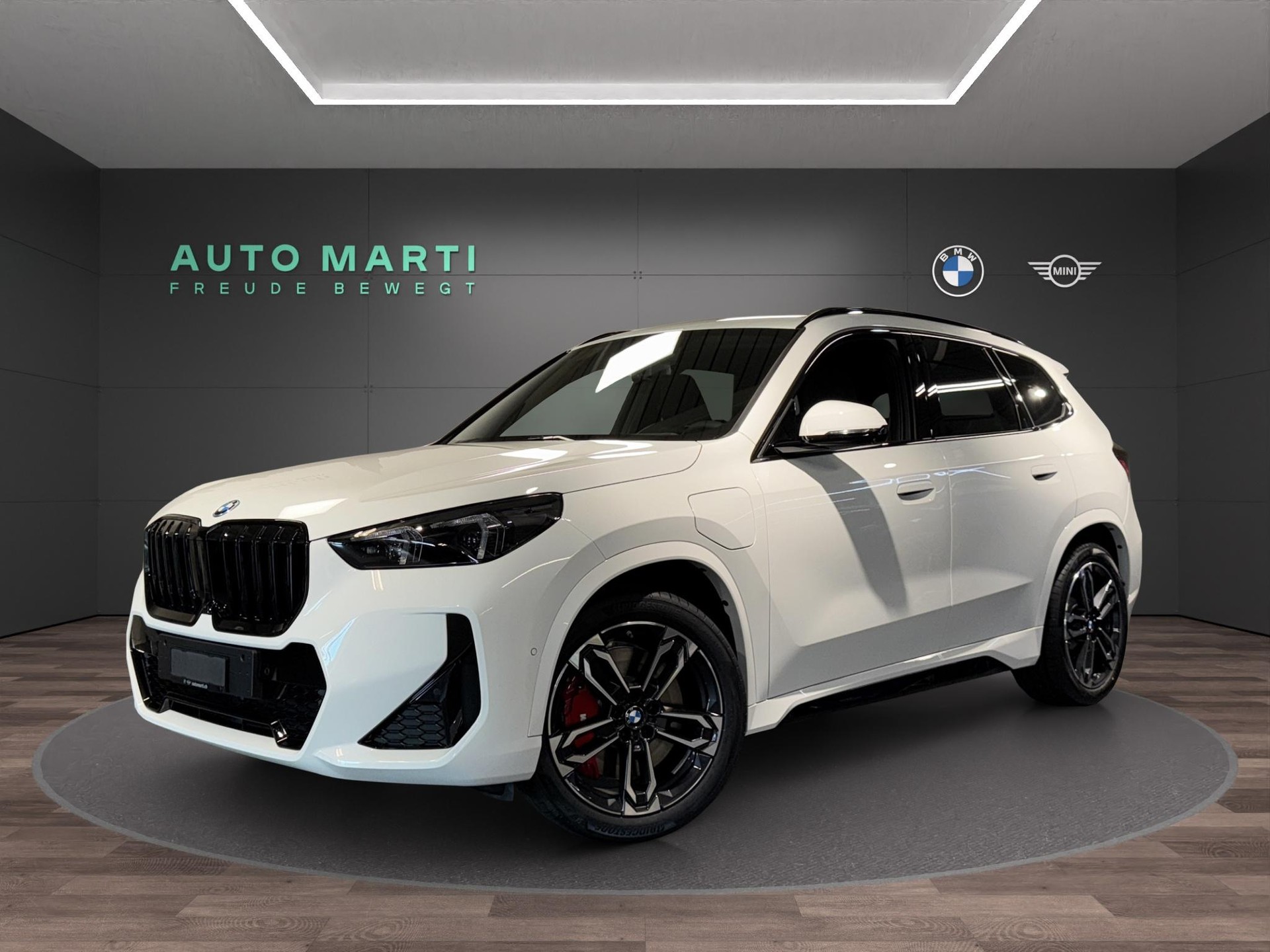 BMW X1 xDrive25e