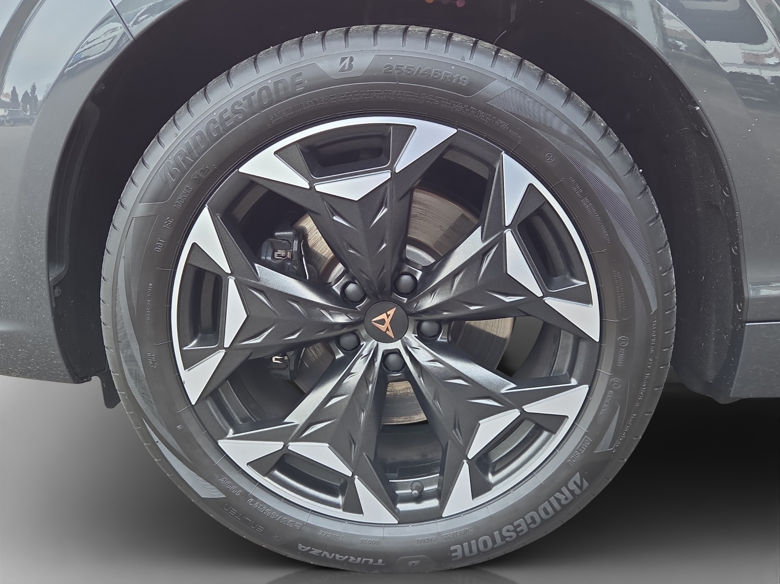 CUPRA Terramar 2.0 TSI DSG 4Drive VZ-image-14