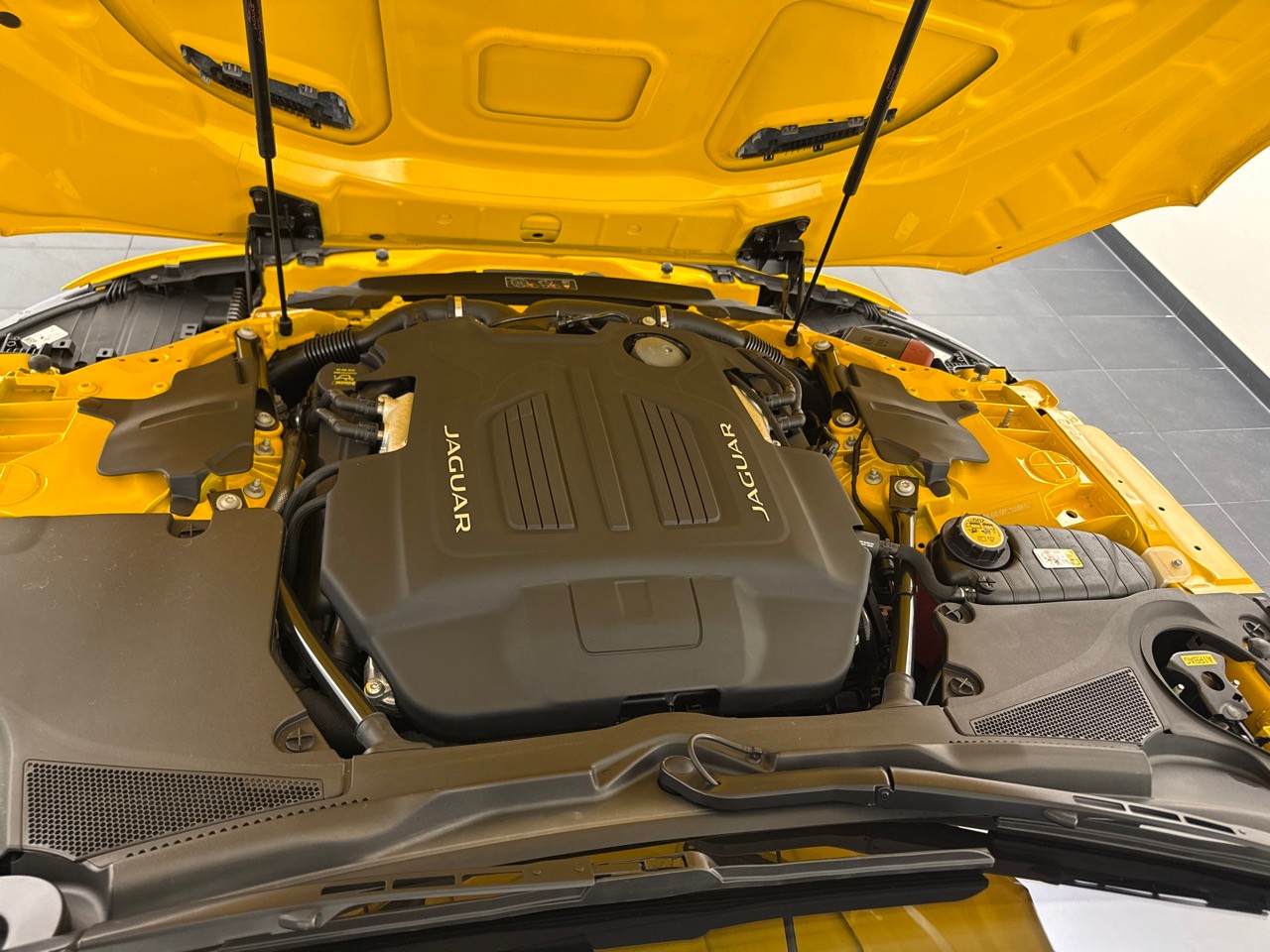 JAGUAR F-Type 5.0 V8 R75 AWD-image-14