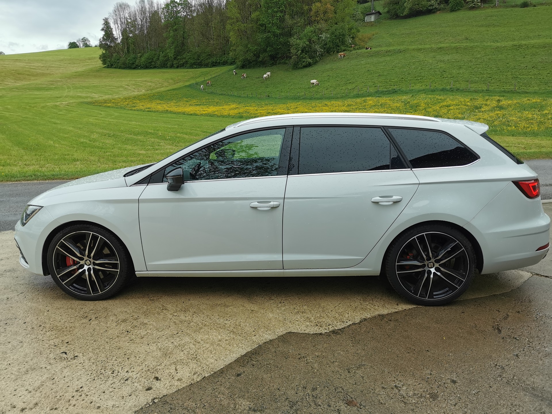 SEAT 2.0 TSI 300 Cupra 4Drive DSG-image-2
