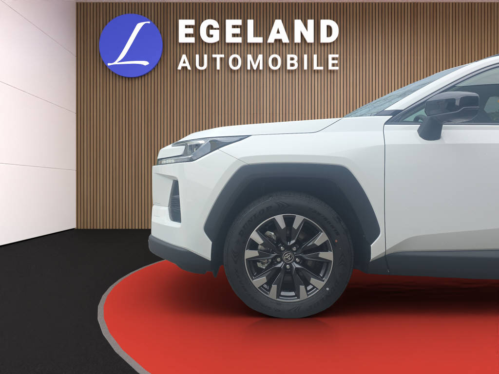 TOYOTA RAV-4 2.5 HEV Trend 4WD-image-9