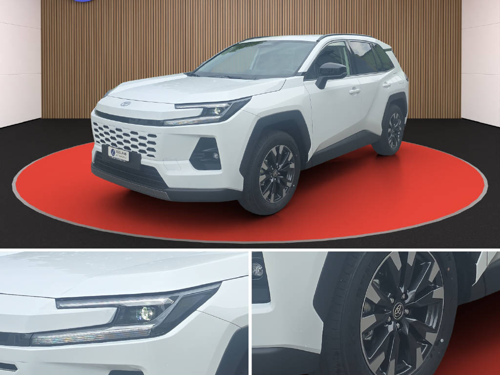 TOYOTA RAV-4 2.5 HEV Trend 4WD-image-8