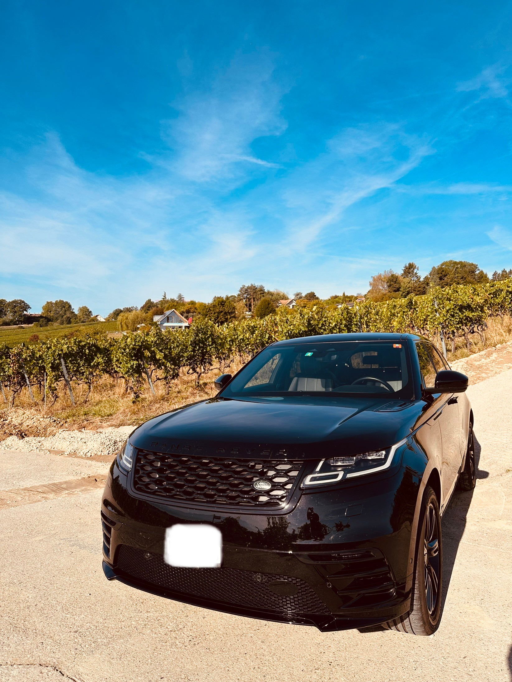 LAND ROVER 2.0 T R-Dynamic SE-image-3