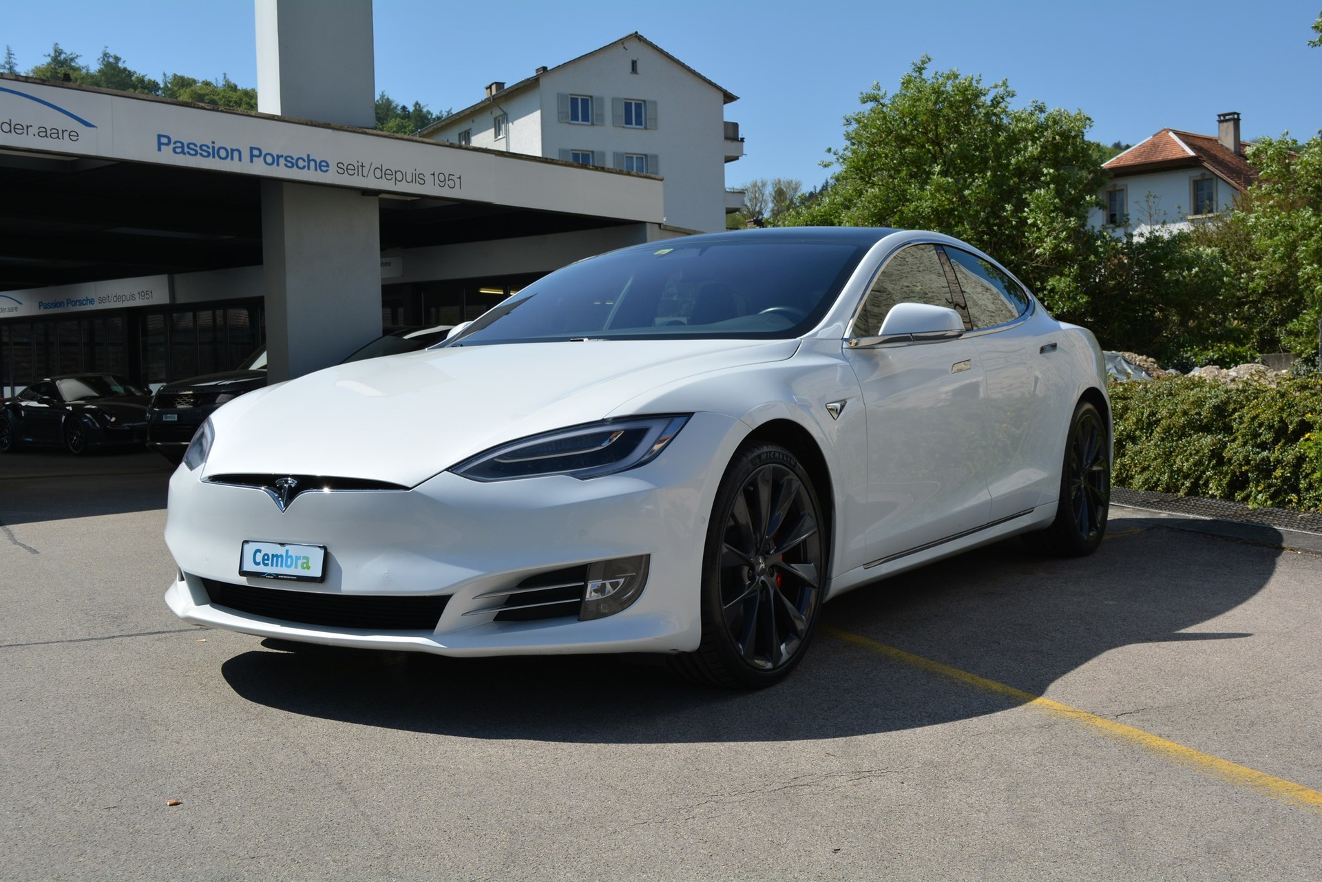 TESLA Model S 100 D Performance-image-1