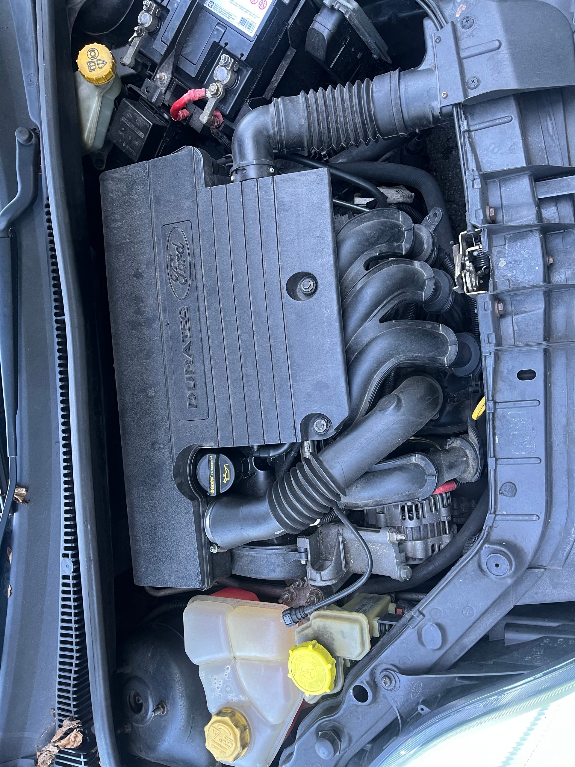 FORD Fiesta 1.4 16V Trend-image-13